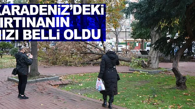 Karadeniz'deki fırtınanın hızı belli oldu: 150,1 km'ye ulaştı