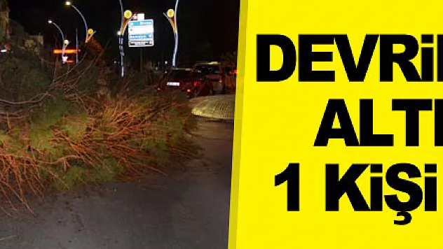 Devrilen ağacın altında kalan 1 kişi yaralandı
