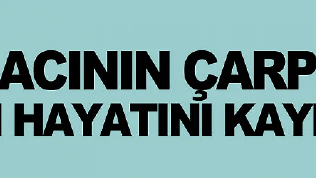 Ekmek aracının çarptığı yaşlı kadın hayatını kaybetti
