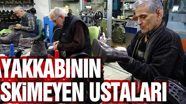 Ayakkabının eskimeyen ustaları