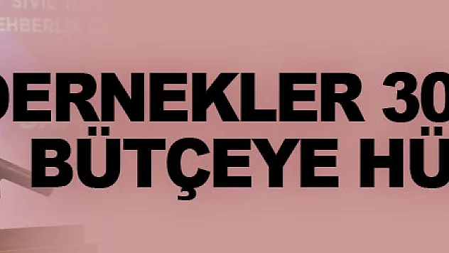 Dernekler 30 milyar TL bütçeye hükmediyor!