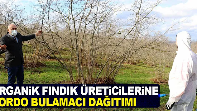 Organik fındık üreticilerine bordo bulamacı dağıtımı