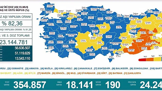 En çok aşılama yapılan ilk 10 il arasında Karadeniz'den 4 il bulunuyor