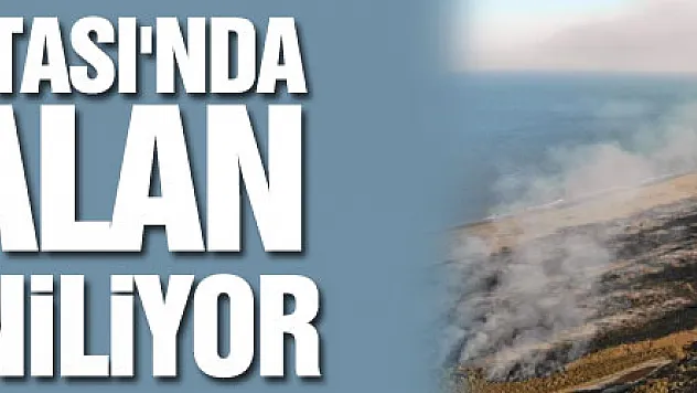 Kızılırmak Deltası'nda yanan alan kendini yeniliyor