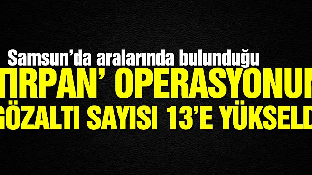 'Tırpan' operasyonun İstanbul ayağında gözaltı sayısı 13'e yükseldi