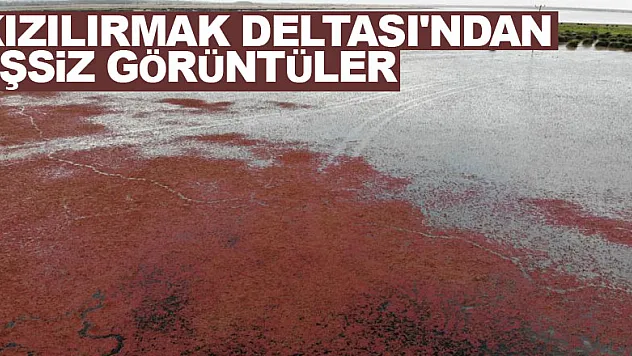 Eğrelti otuyla kızıla bürünen Kızılırmak Deltası'ndan eşsiz görüntüler