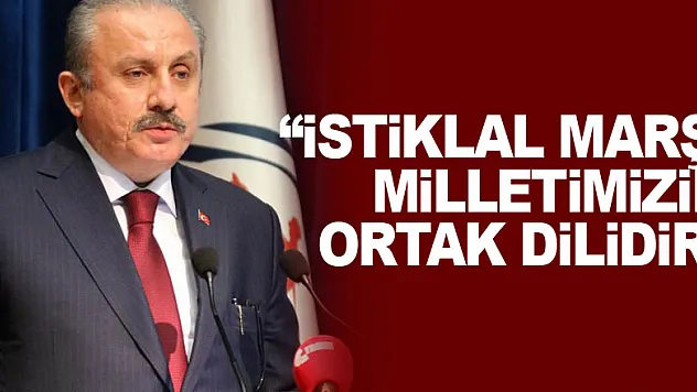 Meclis Başkanı Şentop: 'İstiklal Marşı milletimizin ortak dilidir'
