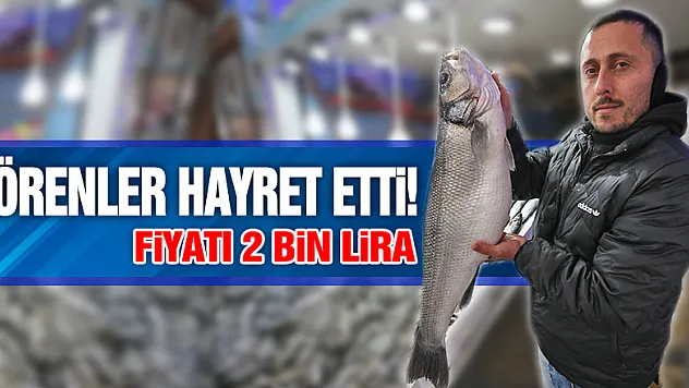 Görenler hayret etti!
