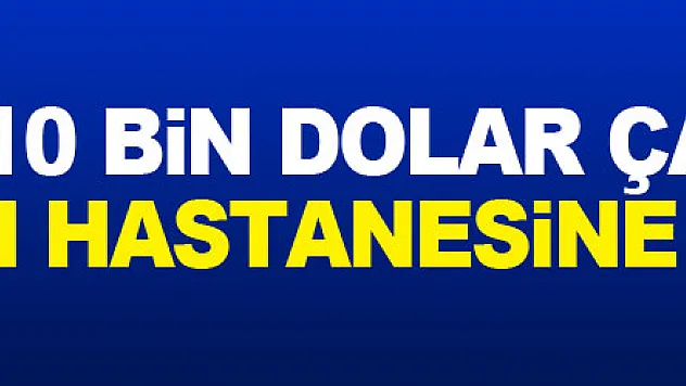 Bankadan 10 bin dolar çalan kadın ruh sağlığı hastanesine sevk edildi