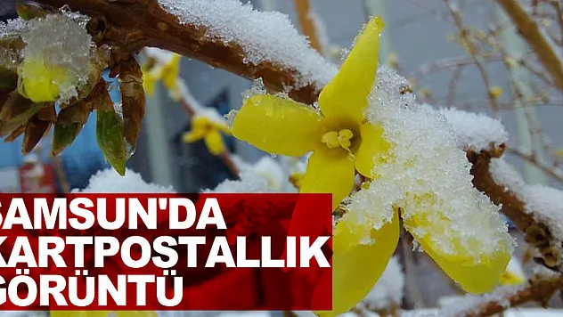 Samsun'da  kartpostallık görüntü