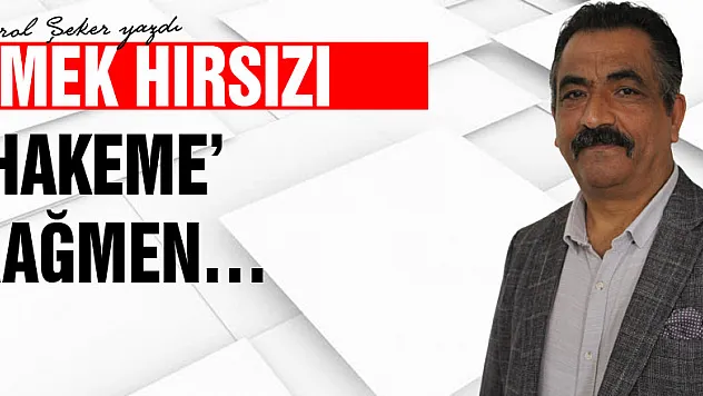 EMEK HIRSIZI 'HAKEME' RAĞMEN…