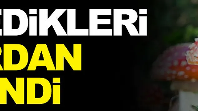 Samsun'da 3 kişi yedikleri mantardan zehirlendi