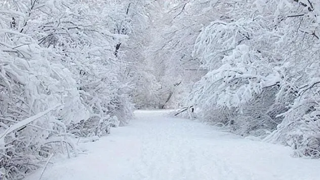Samsun ve çevre illerde kar nedeniyle 1050 yerleşim birimine ulaşılamıyor