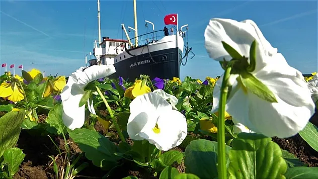 Samsun'da 1500 ağaç ve 53 bin bitki toprakla buluşacak