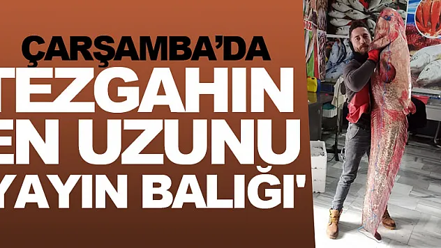 TEZGAHIN EN UZUNU 'YAYIN BALIĞI'