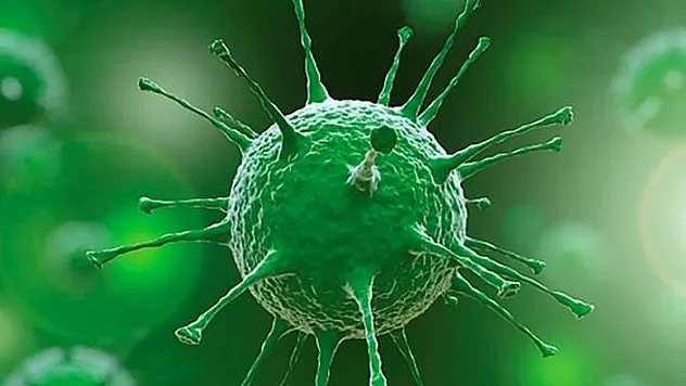 Bilim Kurulu Üyesi Prof. Dr. Şener: 'Sömestr'da vaka sayıları pik yapacak'