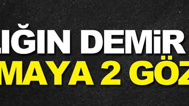 Mezarlığın demir kapısını çalmaya 2 gözaltı
