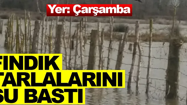 FINDIK TARLALARINI SU BASTI