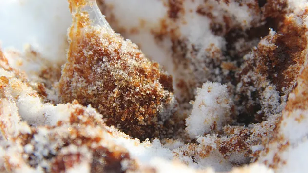 Kar yiyenlerde bu hastalıklara dikkat