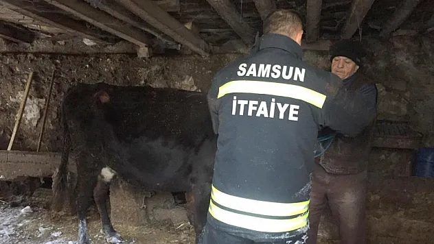 Çatısı çöken ahırda kalan hayvanları itfaiye kurtardı