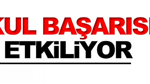 alerji okul başarısını olumsuz etkiliyor 