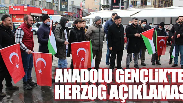 ANADOLU GENÇLİK'TEN HERZOG AÇIKLAMASI