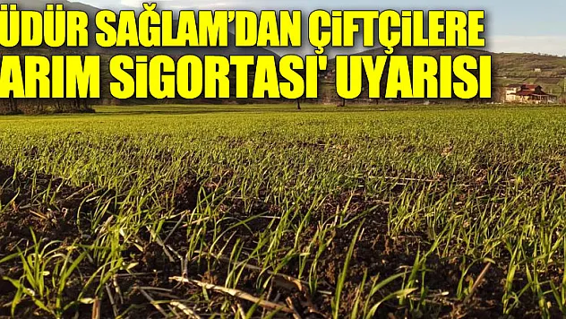Müdür Sağlam'dan çiftçilere 'tarım sigortası' uyarısı