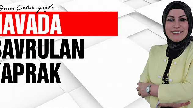 Havada Savrulan Yaprak