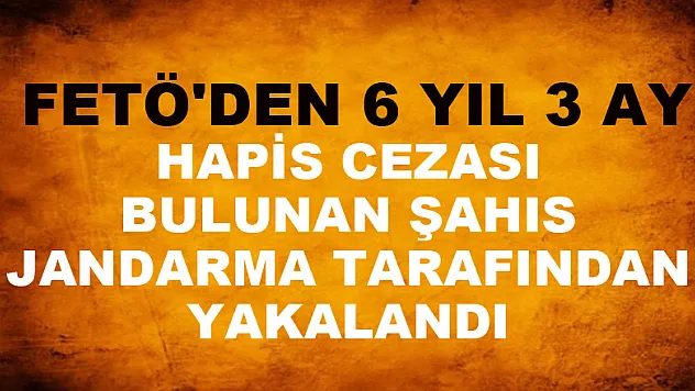  FETÖ'den 6 yıl 3 ay hapis cezası bulunan şahıs jandarma tarafından yakalandı
