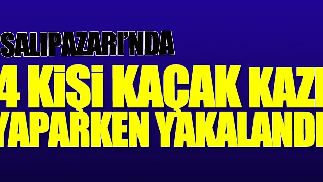 Samsun'da 4 kişi kaçak kazı yaparken yakalandı