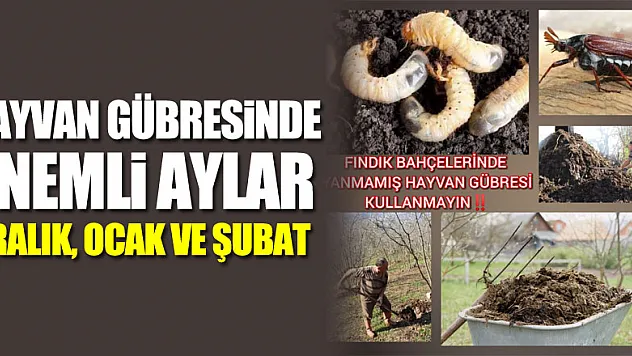 HAYVAN GÜBRESİNDE ÖNEMLİ AYLAR ARALIK, OCAK VE ŞUBAT
