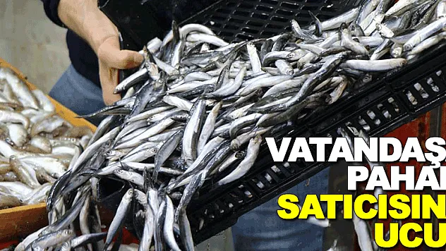 Balık vatandaşa pahalı satıcısına ucuz geldi