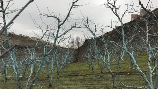 'Bordo bulamacı uygulama zamanını kaçırmayalım'