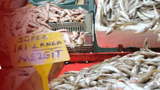 Kırmızı ve beyaz et fiyatları balıkçılara yaradı