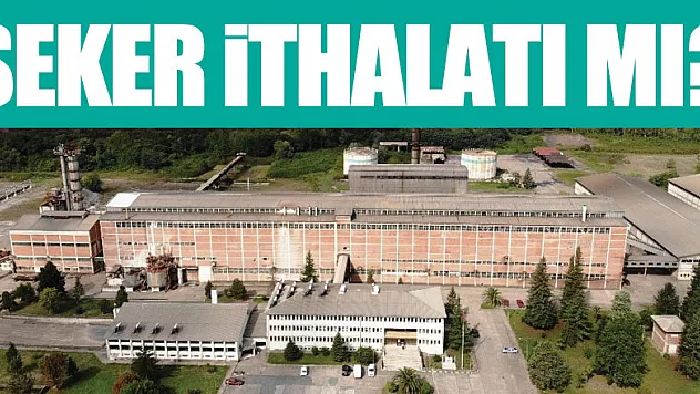 ŞEKER İTHALATI MI?