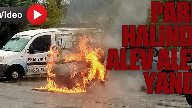 Samsun'da otomobilin park halindeyken alev alması güvenlik kamerasında