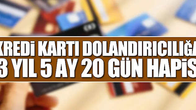 Kredi kartı aidatını geri ödeme vaadiyle dolandırıcılığa 3 yıl 5 ay 20 gün hapis