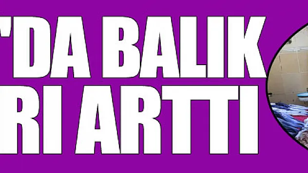 Samsun'da balık fiyatları arttı