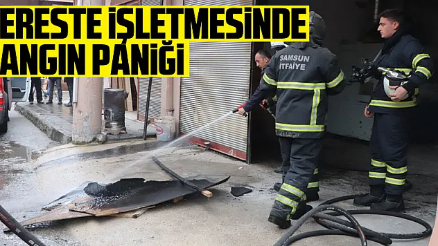 Kereste işletmesinde yangın paniği