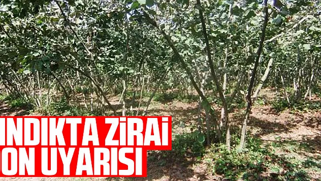 FINDIKTA ZİRAİ DON UYARISI