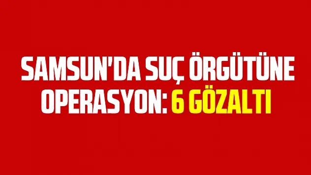  Samsun'da suç örgütüne operasyon: 6 gözaltı
