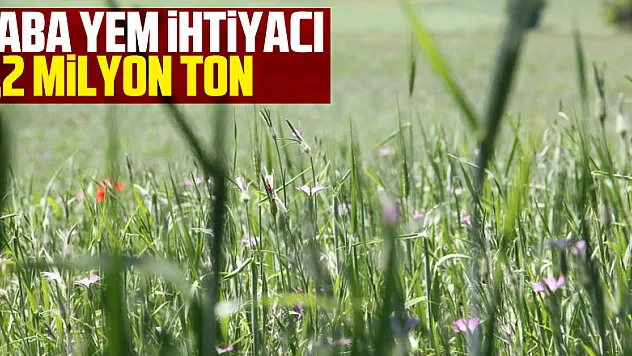 kaba yem ihtiyacı 1,2 milyon ton