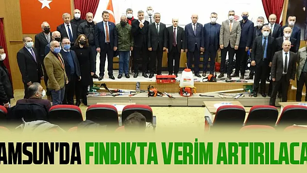 Samsun'da fındıkta verim artırılacak