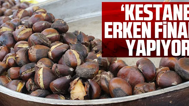 'KESTANE' ERKEN FİNAL YAPIYOR!