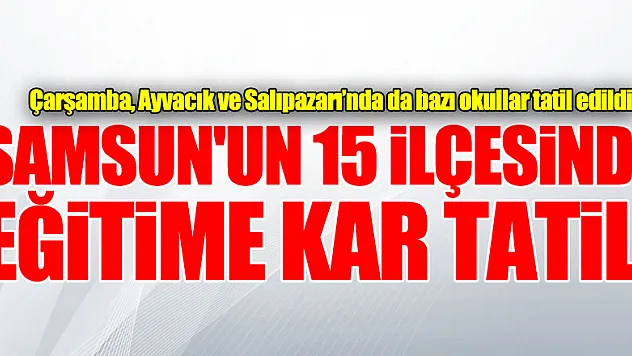 Samsun'un 15 ilçesinde eğitime kar tatili