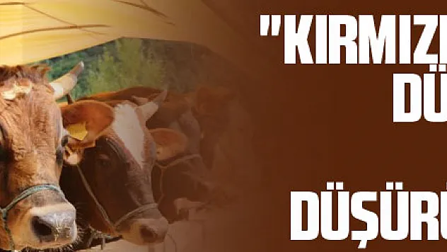 'Kırmızı et fiyatlarının düşmesi için dişi malların kesilmemesi ve girdi maliyetlerinin düşürülmesi gerekir'