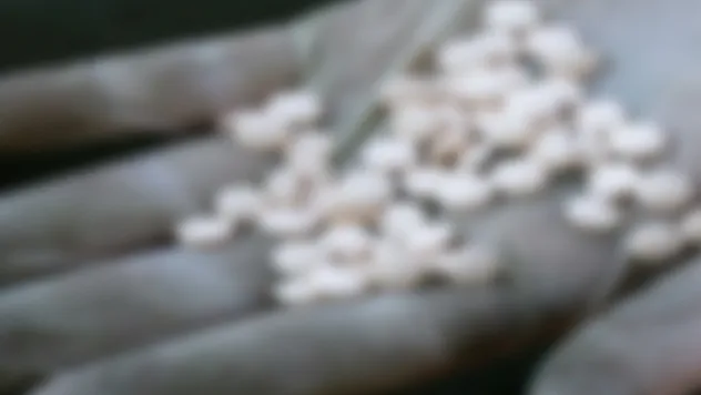 Uyuşturucu ticaretinden gözaltına alındı