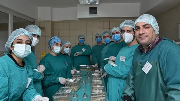 12 farklı şehirden ve 13 üniversiteden 130 katılımcıya deney hayvanı eğitimi