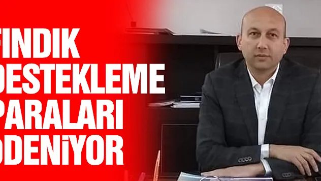 Fındık Destekleme Paraları Ödeniyor