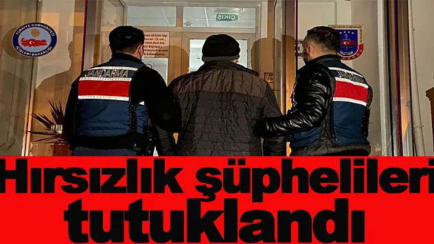 Hırsızlık şüphelileri tutuklandı
